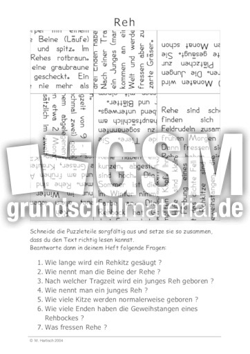 Reh.pdf